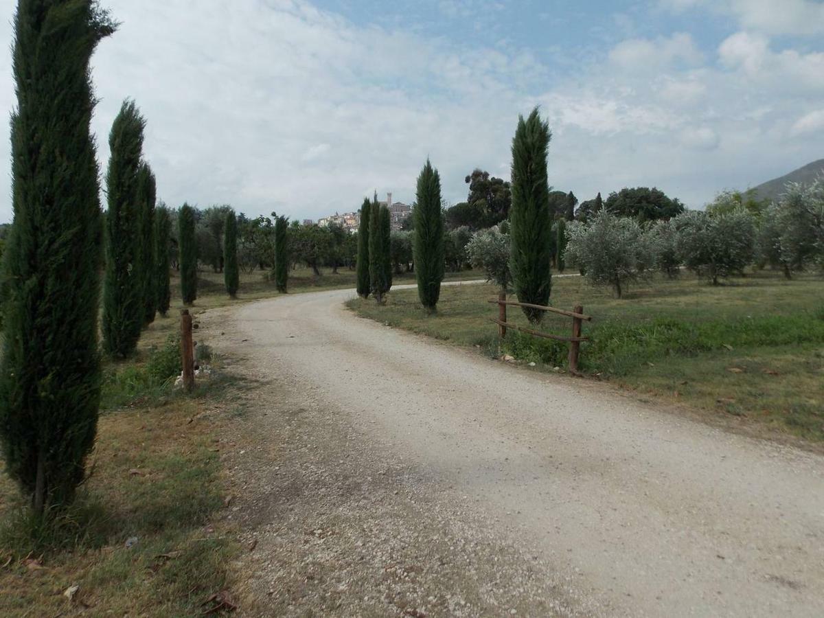Agriturismo Cento Ducati Palombara Sabina Extérieur photo