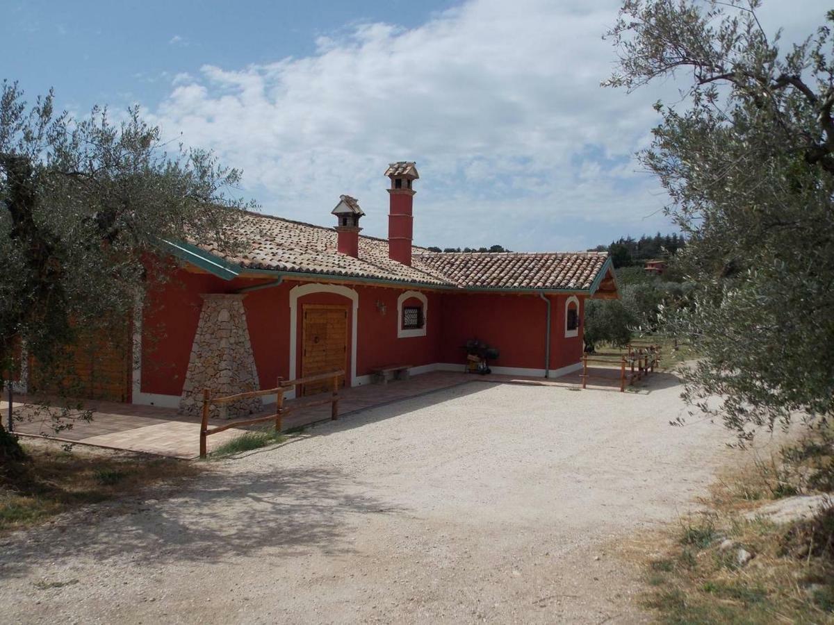 Agriturismo Cento Ducati Palombara Sabina Extérieur photo